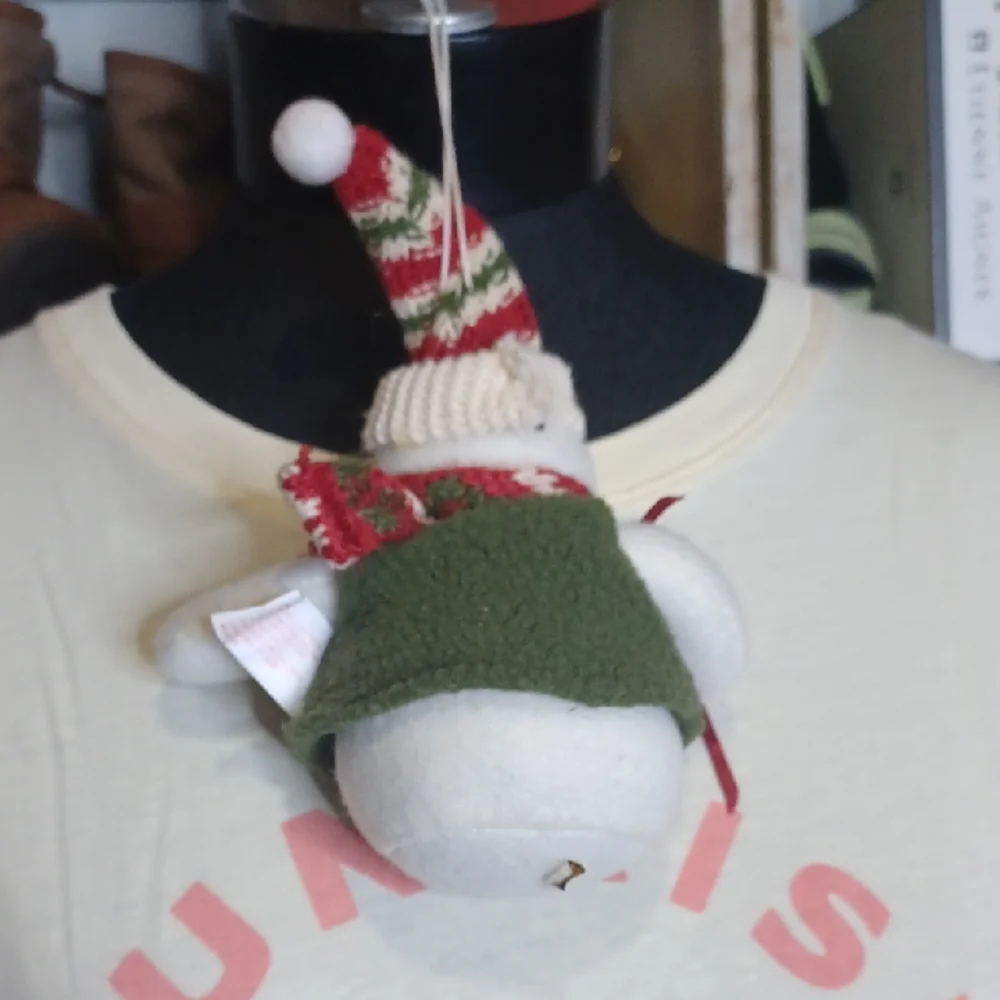 Festive Snowman Ornament with Scarf and Hat